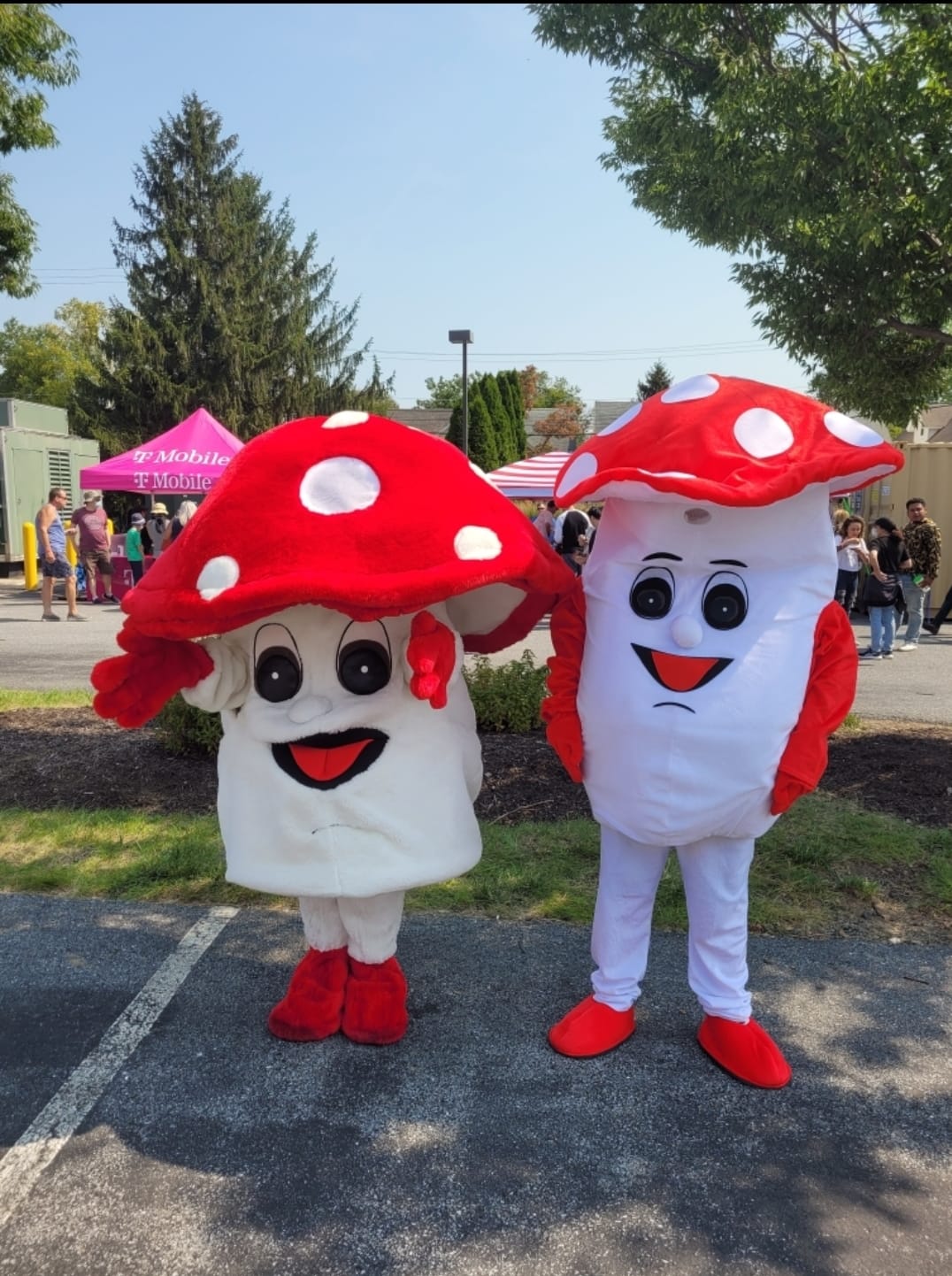 The Mushroom Festival Collaborative